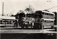Trams and Trolley Bus at the Old Steine